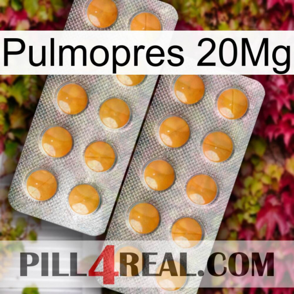 Pulmopres 20Mg levitra2.jpg